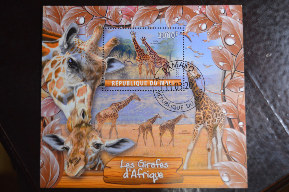 Мали. Марки. Фауна. Блок. 2020 год (В-1) Полтава - изображение 1