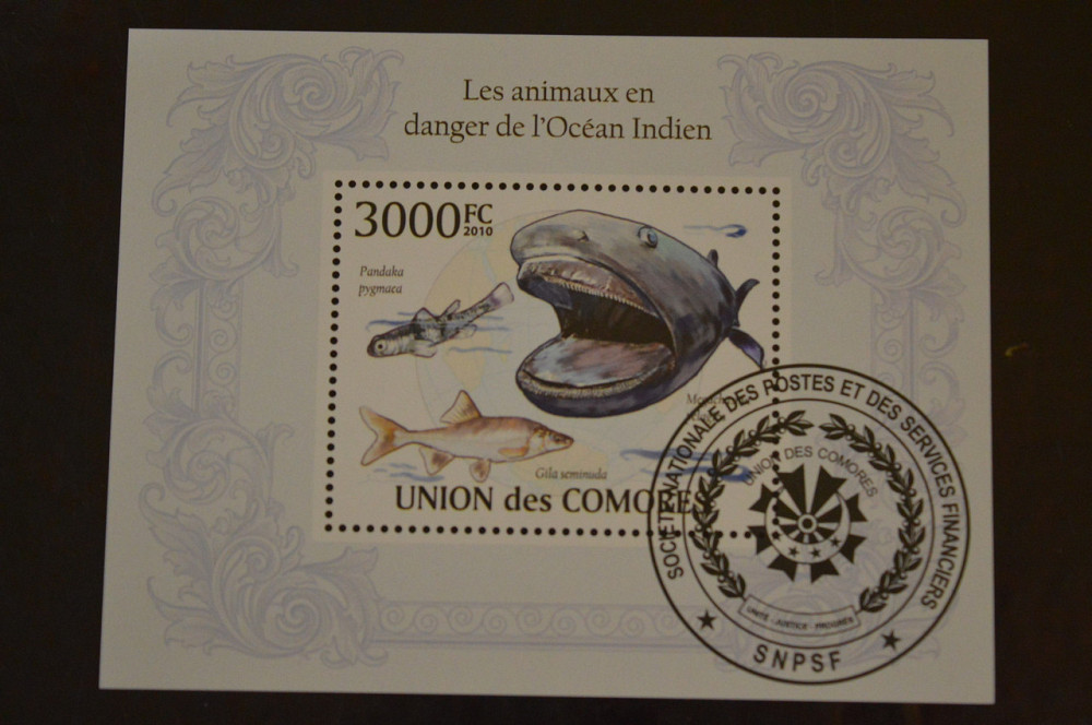 Комори. Марки. Фауна. Блок. 2010 рік (У-5) Полтава - фото 1