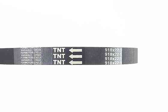 Ремінь 918x22,5 Київ