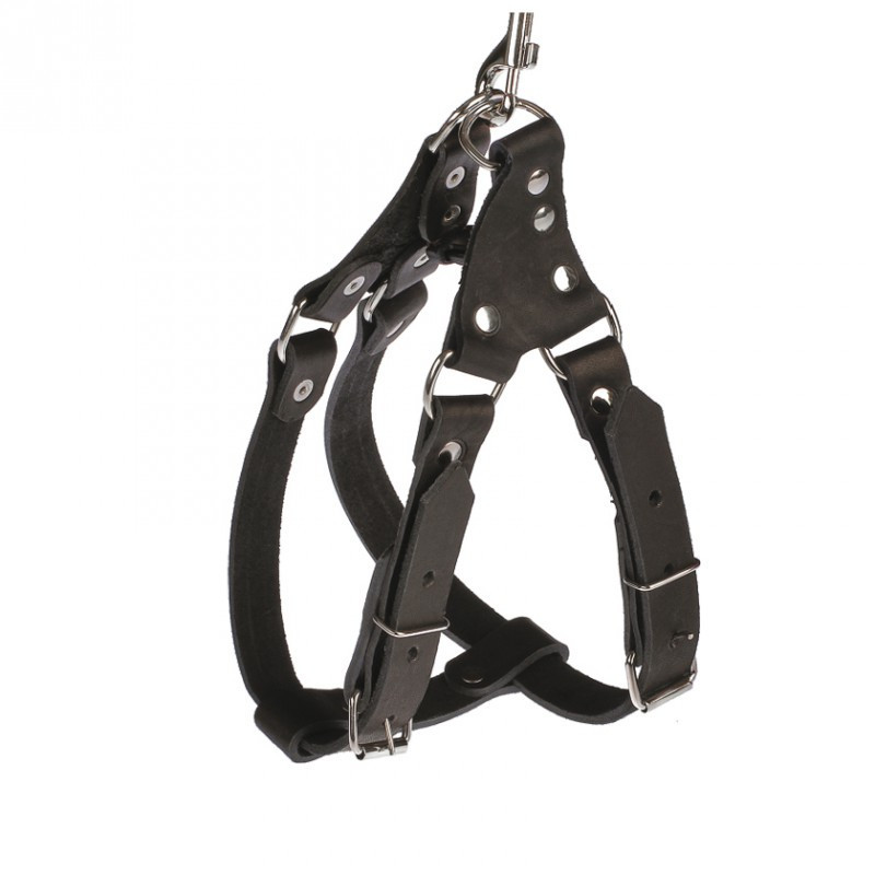 Шлейка 8241 25мм "НЕЙЛОН" легкознімна з фастексами світловідбиваюча Вінниця - фото 1