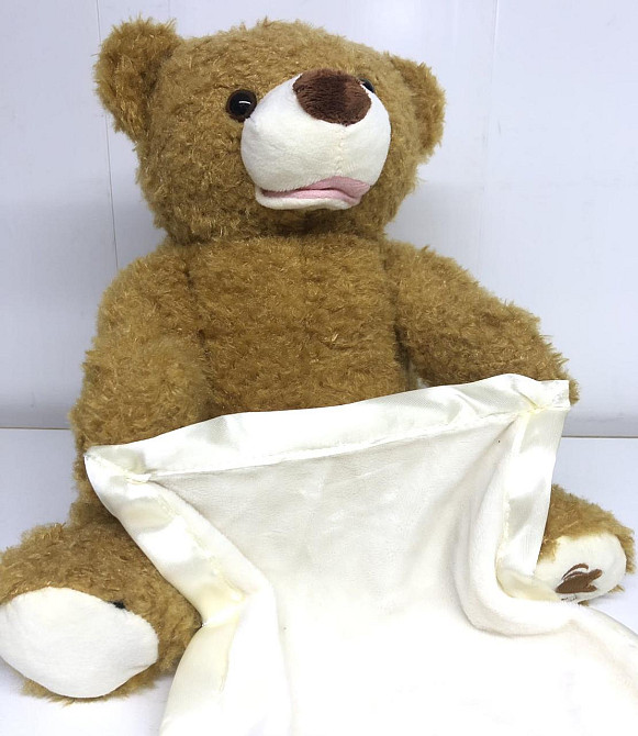 Інтерактивна іграшка / Ведмедик Ку-Ку / Плюшевий ведмедик Peekaboo 25 см (50 шт) Одеса - фото 3