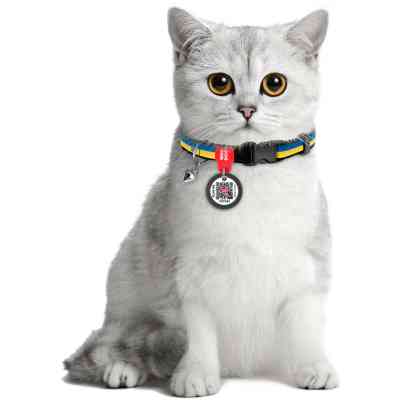 Нашийник для тварин WAUDOG Colors of freedom з QR паспортом XS 20-30 см (5210-4020) Вінниця