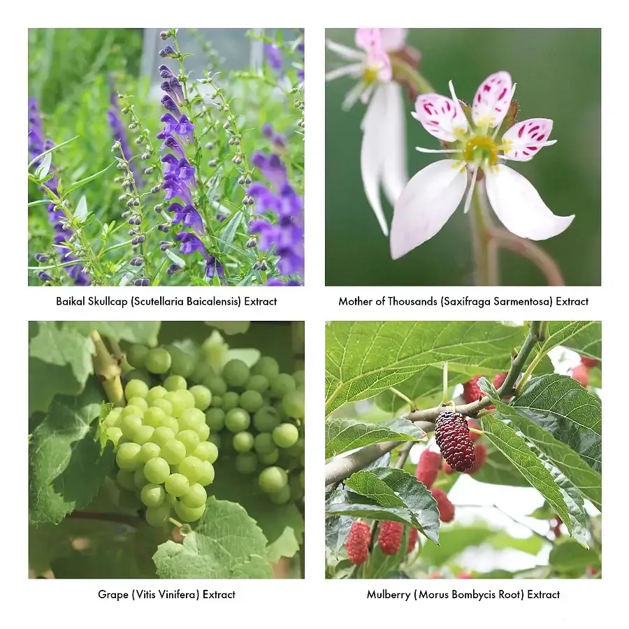 Піна для інтимного догляду Iroha Intimate Wash Foam Type Bergamot and Bitter Orange 150 мл Львів - фото 8