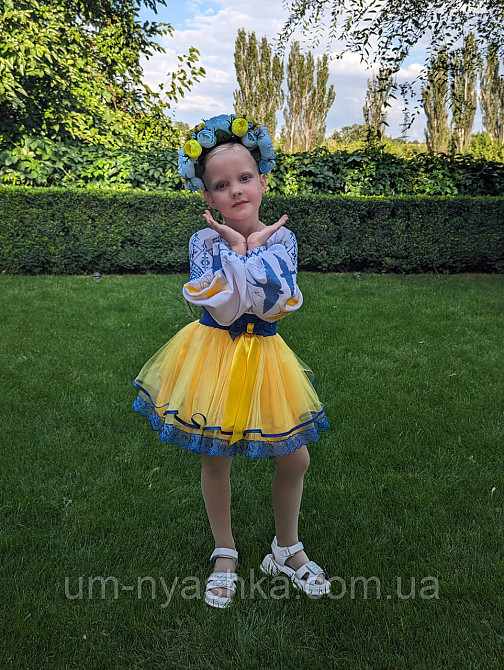 Синьо-жовтий костюм вишиванка "Ластівки-мереживо" Кривий Ріг - фото 7