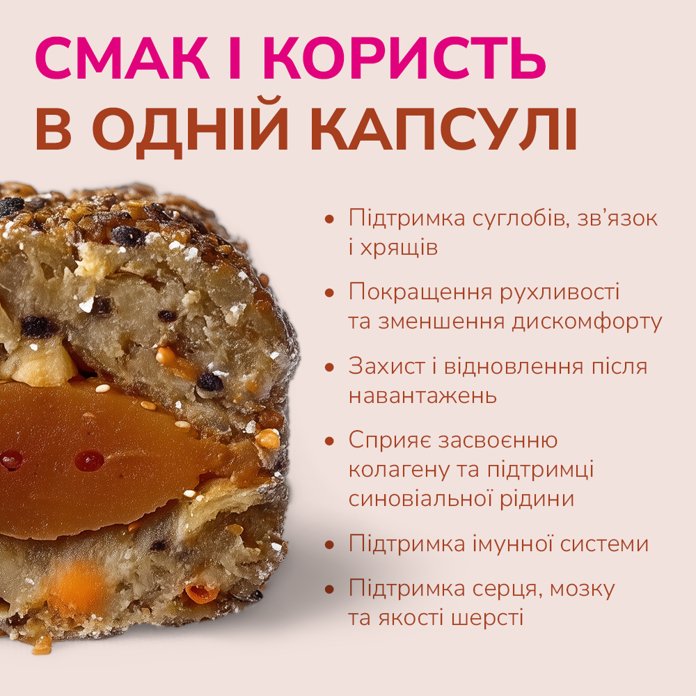 LK Baits Pet Nutrigel Salmon S-M Функціональні ласощі для собак для суглобів з лососем та Omega-3 (Ø 15 мм), 150 г Киев - изображение 3