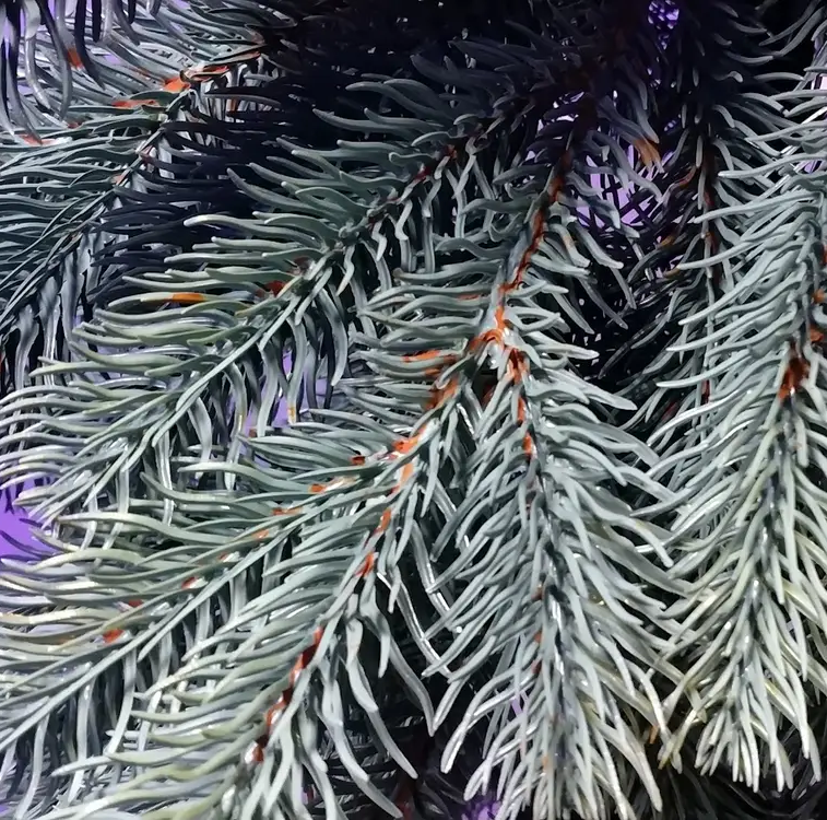 Гирлянда густая из хвои Элит 2 м литая (Голубая) Винница - изображение 6