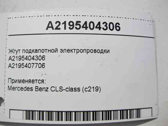 Mercedes-Benz  A2195404306 Джгут підкапотної електропроводки CLS C219 Одеса