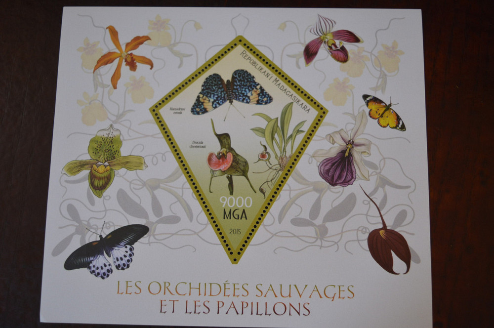 Мадагаскар. Фауна. Личности. Блок. (А-35) Полтава - изображение 1