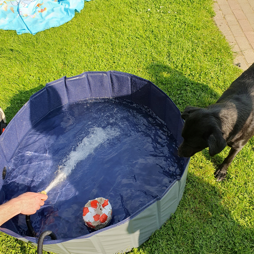 Басейн для собак XXL 100x30см Purlov (Польща) Київ - фото 8
