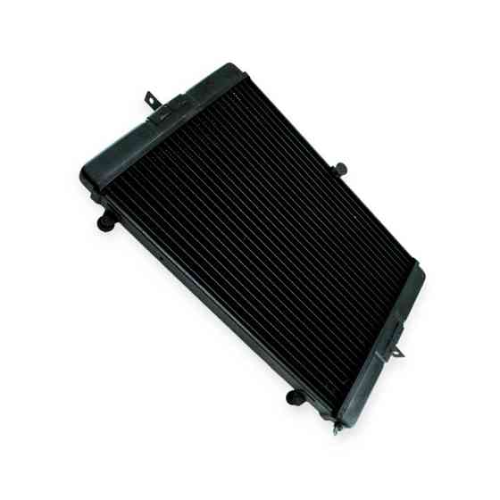 Радіатор охолодження двигуна ГАЗ 3302 2-х рядний старий мідний зразок Мукачево