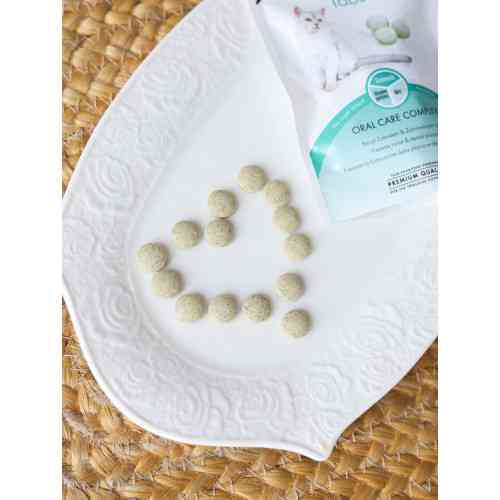 Витамины GimCat Every Day Dental для кошек для здоровья зубов 40 г Киев