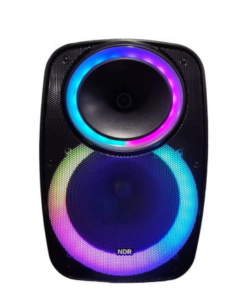 Професійна Bluetooth колонка NDR-A55 15-дюймова з бездротовим мікрофоном Київ