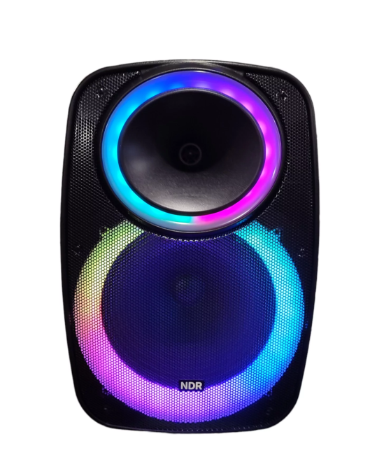 Професійна Bluetooth колонка NDR-A55 15-дюймова з бездротовим мікрофоном Київ - фото 2