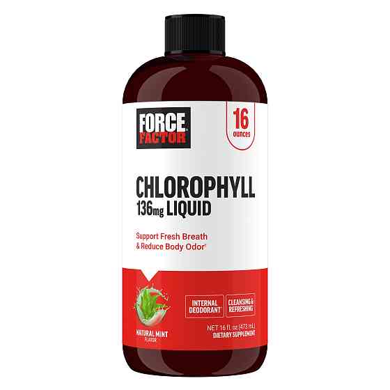 Хлорофіл Force Factor Chlorophyll Liquid, Natural Mint, 136 mg 473 ml Луцьк
