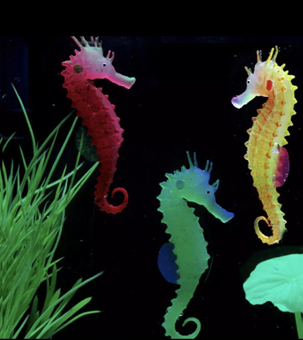 Морской конек желтый, силиконовый и люминисцентный (светящийся )декор в аквариум - размер 10*5 см Киев - изображение 4