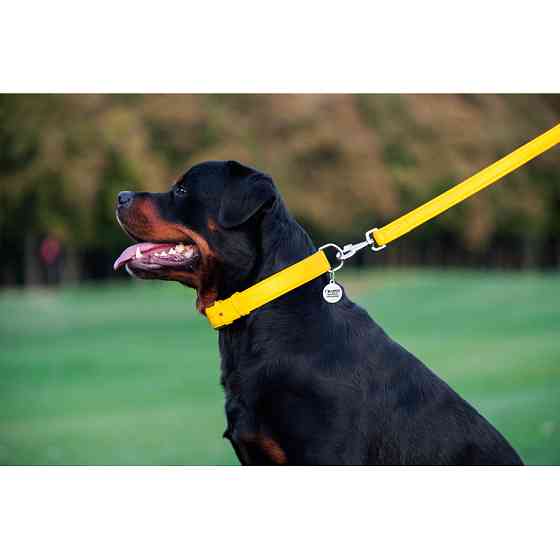 Повідець для собак шкіряний WAUDOG Glamour, Ш 25 мм, Дов 122 см жовтий Коломия