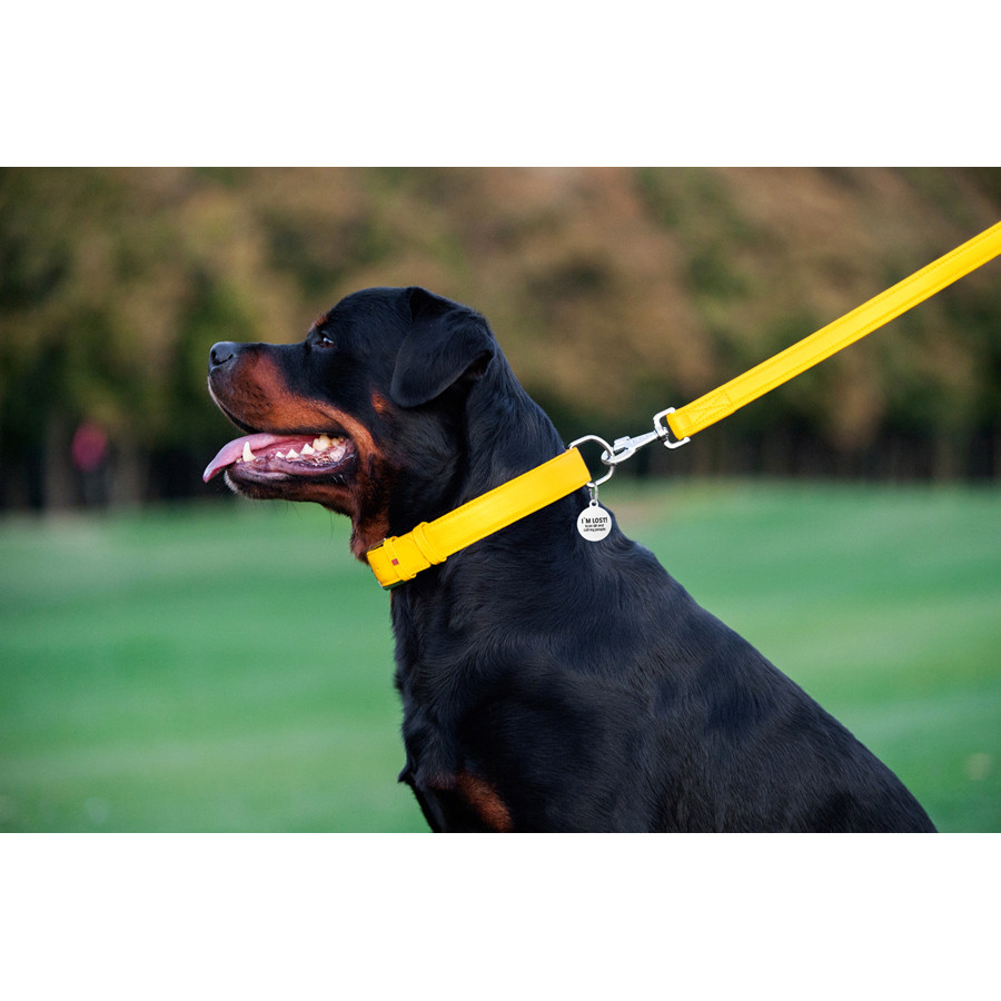 Повідець для собак шкіряний WAUDOG Glamour, Ш 25 мм, Дов 122 см жовтий Коломия - фото 3