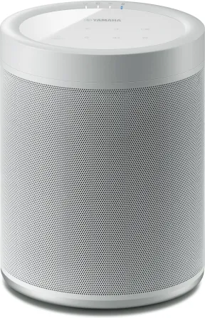 Портативная колонка Yamaha MusicCast 20 Biały Para Киев