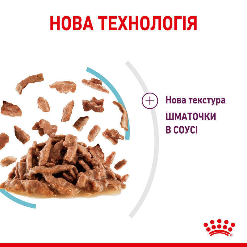 Royal Canin Sensory Feel Gravy (Роял Канін Сенсорі шматочки) вологий корм для перебираних кішок 85 г х 12 шт 85 г х 12 шт. Запоріжжя - фото 4