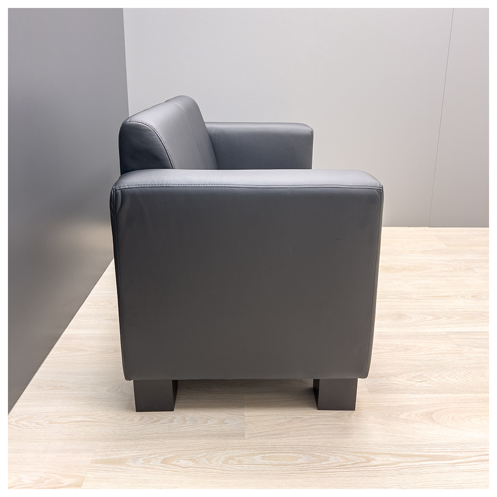 Диван Канзас Подвійний на дерев’яних ніжках Флай 2230 Київ - фото 3