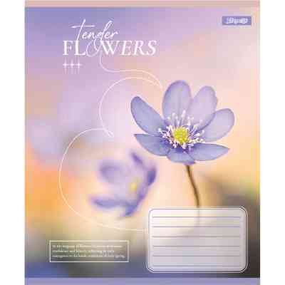 Тетрадь 1 вересня Tender Flowers А5 24 листов клетка (768076) Винница