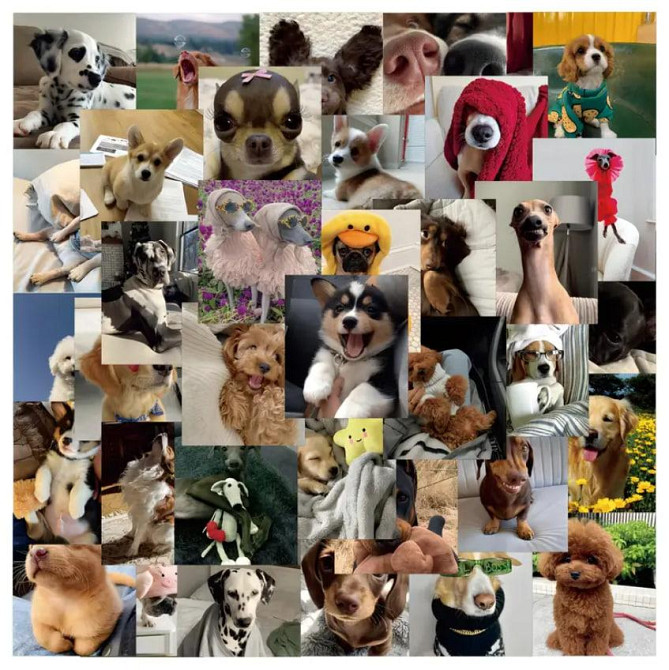 50 милых реалистичных наклеек с щенками. Водонепроницаемые виниловые эстетические наклейки с собакам Киев - изображение 6