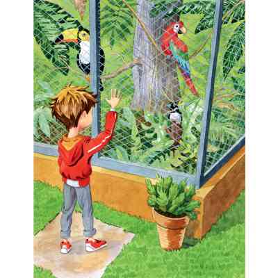 Книга Дива до Різдва - Леся Антонова Видавництво РМ (9786178512590) Вінниця