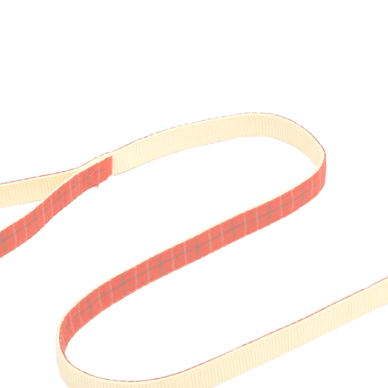 Шлея для собак с поводком Pipitao 165510 Cage Peach 1*120 cm Киев