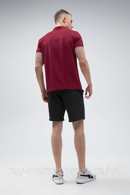 Костюм поло бордове та шорти чорні RAY BASIC U9007-Bordeauux-Black Київ - фото 3