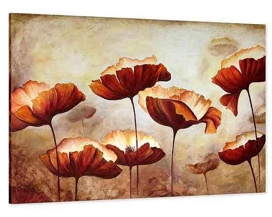 Картина холст у вітальню / спальню Маки      MLP_11  ( 60х30см ) 80х160см Київ