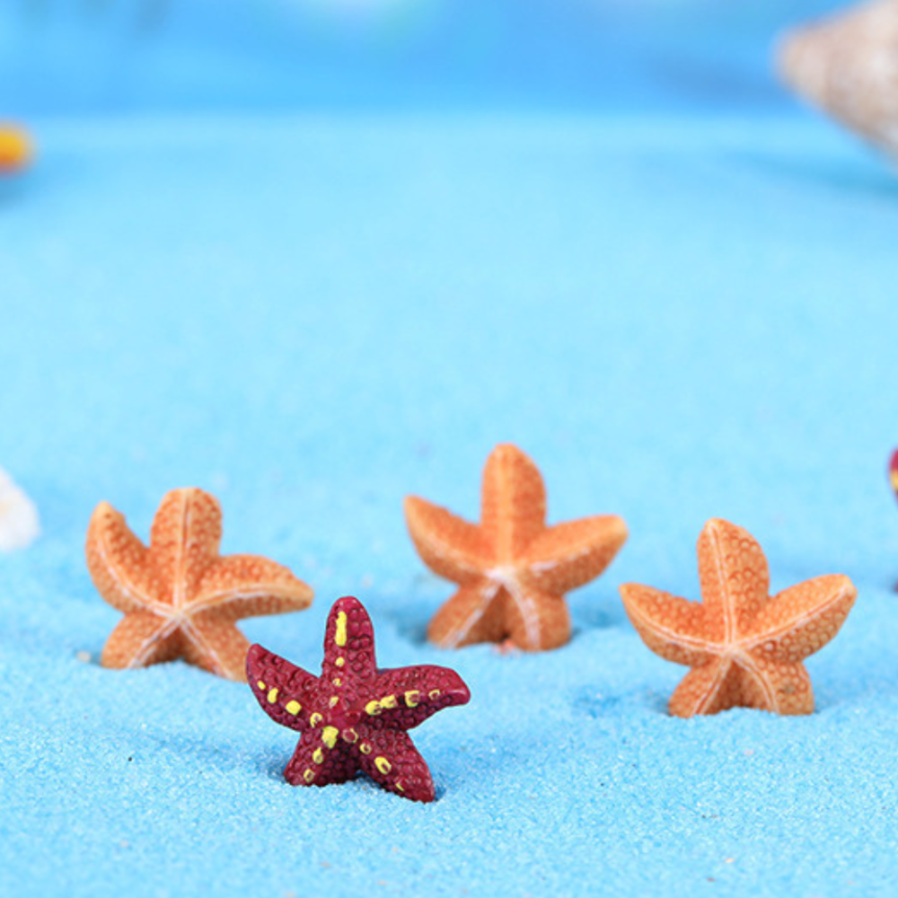 Декоративная Морская звезда для флорариума, минм-сада, микроландшафта, песочного стола, аквариума Одесса - изображение 2