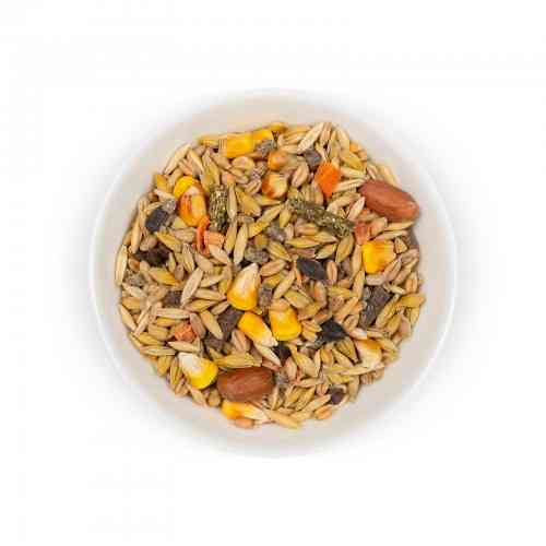 Корм Природа Пацючок для декоративних пацюків 500 г Київ