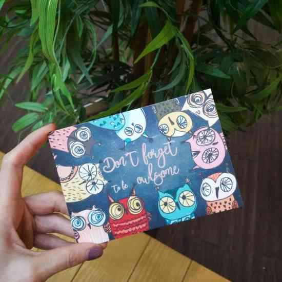 Листівка Совушки Вінниця