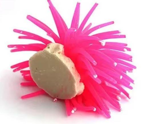 Яскравий декор в акваріум - Морський їжак. Київ - фото 5