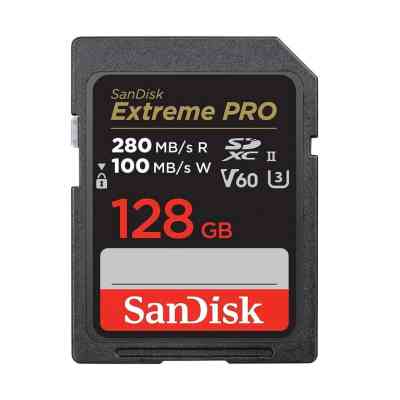Карта памяти SanDisk 128GB SD class 10 Extreme PRO (SDSDXEP-128G-GN4IN) Винница