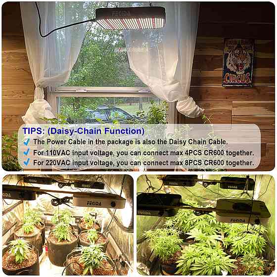 Фітолампа світлодіодне світло для вирощування FECiDA GL-CR600 Луцк