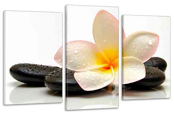 Модульная картина в гостиную / спальню  Квітка Орхідея Art-654_3 100x150 см Киев