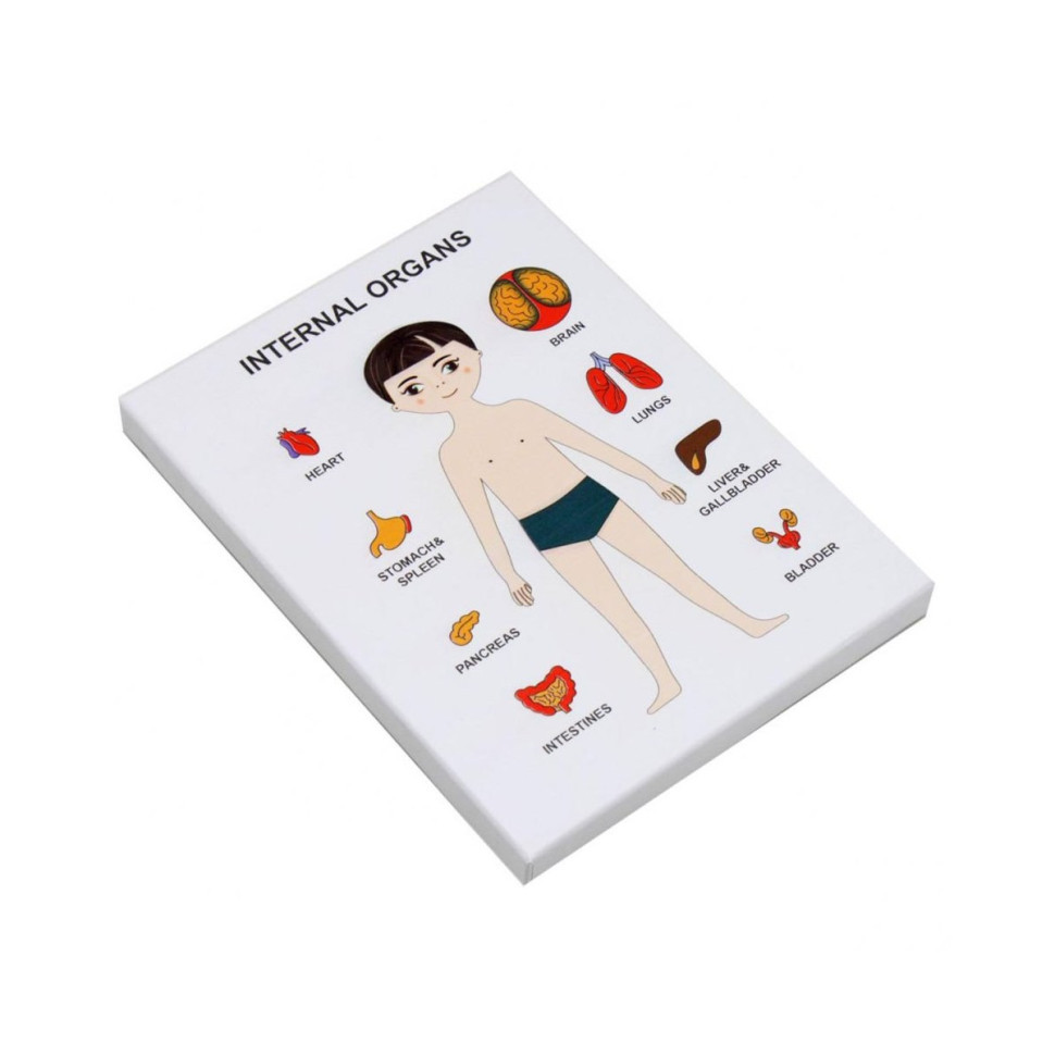 Пазлы обучающие Internal Organs Strateg 30349 органы человека Винница - изображение 1