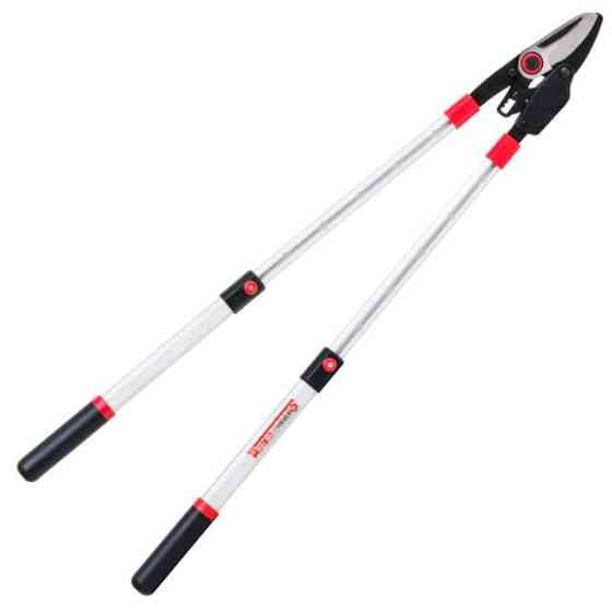 Сучкоріз садовий для обрізки гілок, 700-1030 мм, храповий механізм, телескопічні ручки INTERTOOL FT-1118 Киев