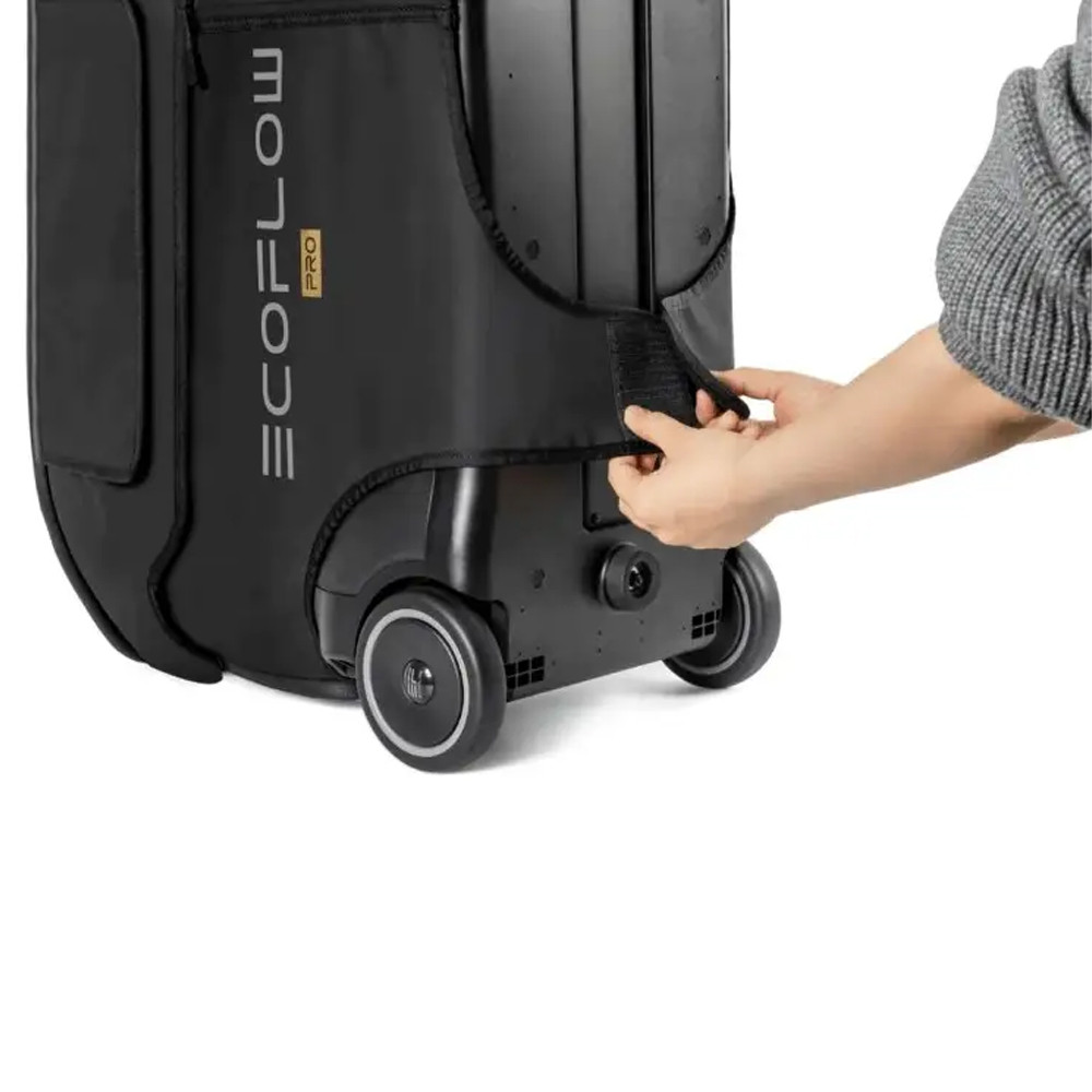 Сумка EcoFlow DELTA Pro Bag Киев - изображение 4