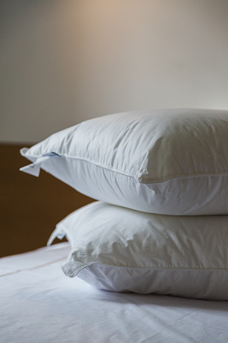 Ecotton Подушка Ecotton 50х70 см Ecofill Premium антиалергенна з біопухом біла в чохлі для збер Киев - изображение 1