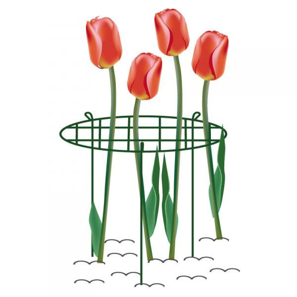 Опора для растений кольцевая 60см, Ø40см, TYRP14060S Киев - изображение 3