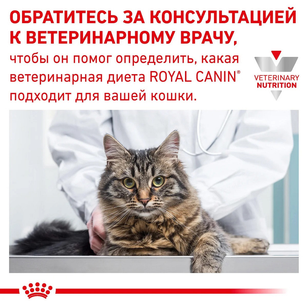 Royal Canin Gastrointestinal (Роял Канін Гастроінтестинал) сухий корм для кішок у разі розладів травлення Запоріжжя - фото 10