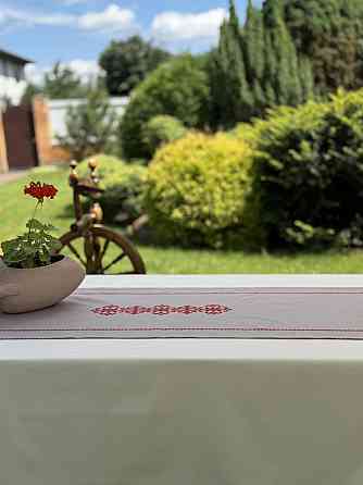 Ecotton Ранер доріжка Ecotton 45x170 см для обіднього столу водовідштовхувальна в етно-стилі сі Киев