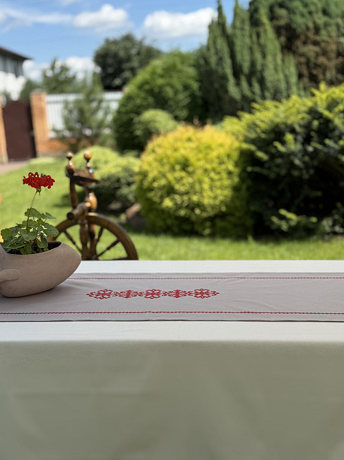 Ecotton Ранер доріжка Ecotton 45x170 см для обіднього столу водовідштовхувальна в етно-стилі сі Киев - изображение 5
