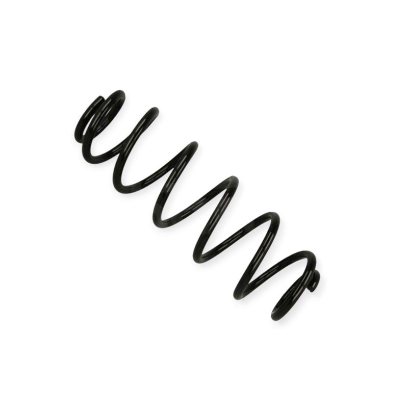 Пружина Citroen C4 04- задняя Мукачево - изображение 1