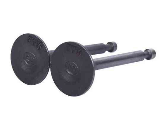 Клапани на бензиновий двигун мотоблок 168F, к-т: 2 шт. Мукачево