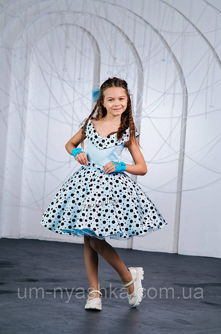 Пишне ошатне плаття в ретро стилі "Стиляги" Кривий Ріг - фото 13
