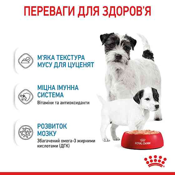 Royal Canin Starter Mousse Mother Babydog (Роял Канін Стартер) вологий корм для вагітних собак 195 г х 12 шт. Запоріжжя