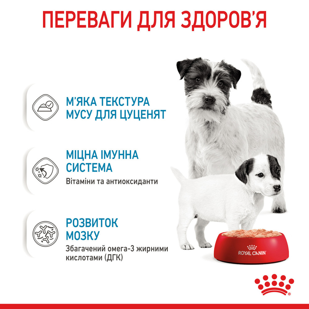 Royal Canin Starter Mousse Mother Babydog (Роял Канін Стартер) вологий корм для вагітних собак 195 г х 12 шт. Запоріжжя - фото 4